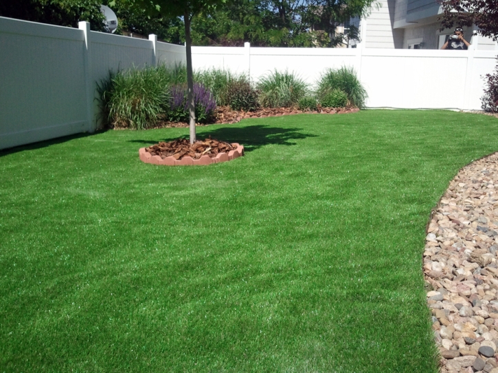 Grass Turf Buckeye, Arizona Backyard Deck Ideas, Backyard