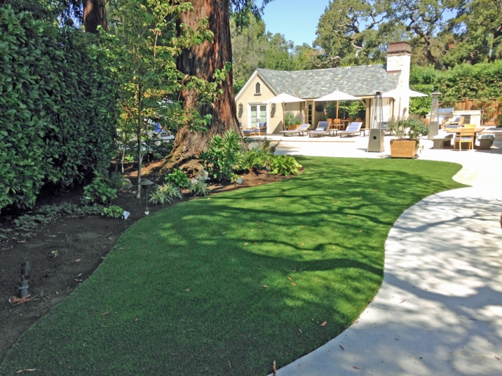 Grass Turf Cowlic, Arizona Lawns, Commercial Landscape