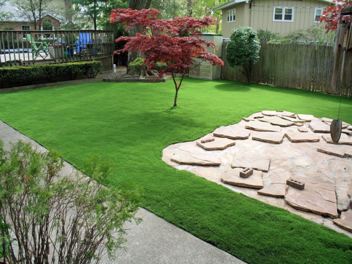 Grass Turf Eagar, Arizona Landscaping, Backyard Landscaping