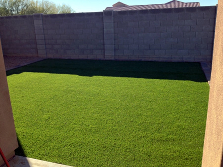 Grass Turf Palominas, Arizona Lawn And Landscape, Backyard Designs