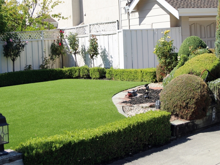 Grass Turf San Jose, Arizona Landscape Photos, Front Yard Landscape Ideas