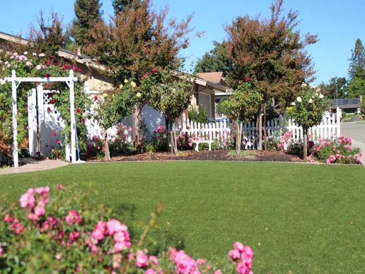 Grass Turf Willow Canyon, Arizona Landscape Design, Front Yard