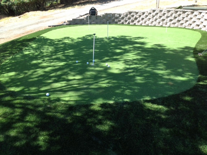 Green Lawn Casa Grande, Arizona Indoor Putting Green, Backyard