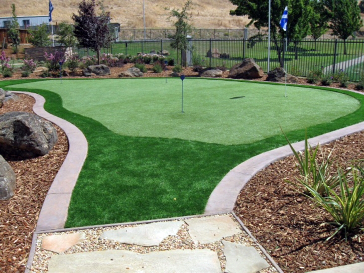 Green Lawn Jeddito, Arizona Office Putting Green, Backyard Landscaping Ideas