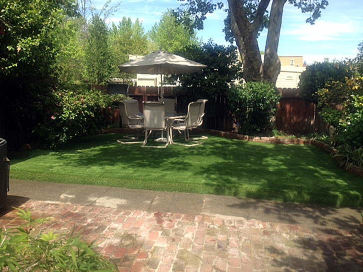 Green Lawn San Miguel, Arizona Roof Top, Backyard