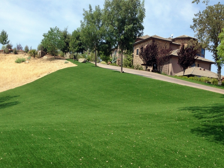 Green Lawn South Tucson, Arizona Design Ideas, Front Yard Landscaping