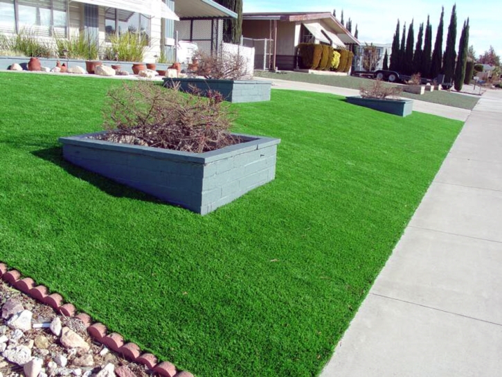 Green Lawn Surprise, Arizona Landscape Ideas, Front Yard Landscaping Ideas