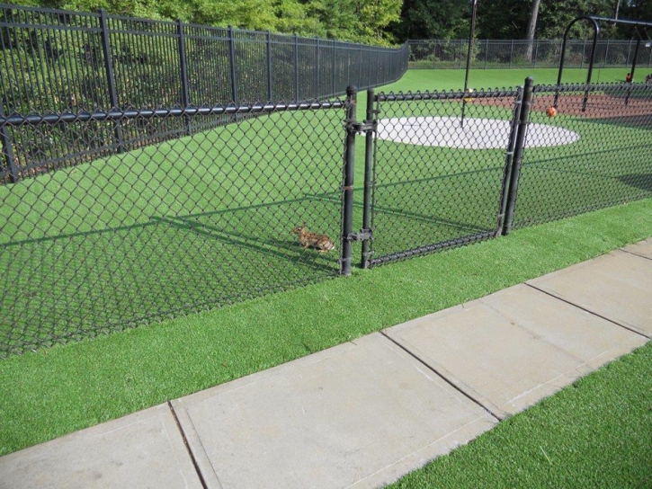 Green Lawn Whiteriver, Arizona Lawn And Landscape, Recreational Areas