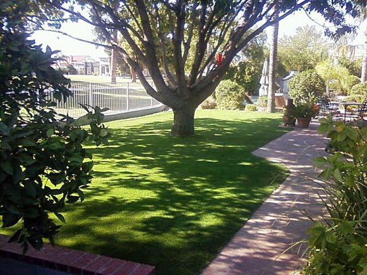 Installing Artificial Grass Cameron, Arizona Lawn And Landscape