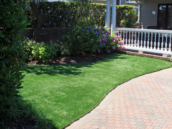 Installing Artificial Grass Gila Bend, Arizona Landscape Photos, Front Yard