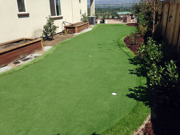 Installing Artificial Grass Kino Springs, Arizona Landscape Photos, Backyard