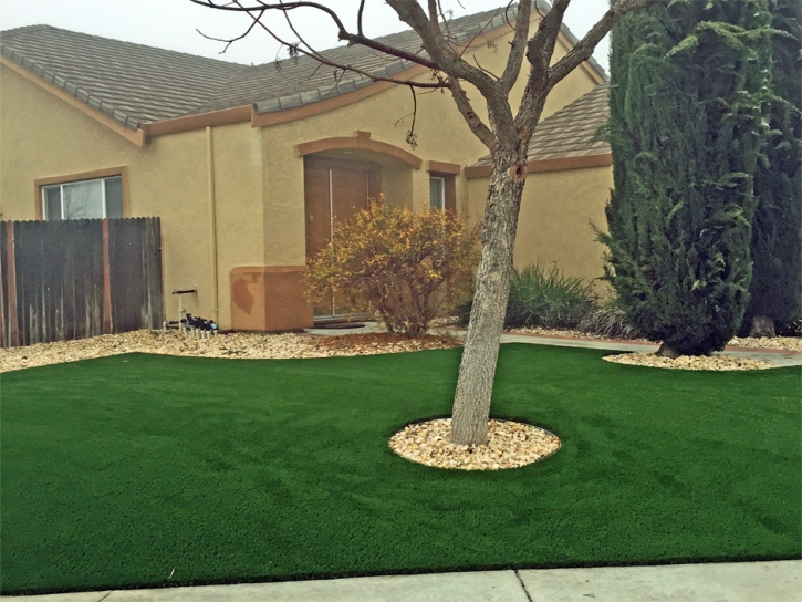 Lawn Services Central Heights-Midland City, Arizona Lawn And Garden, Front Yard