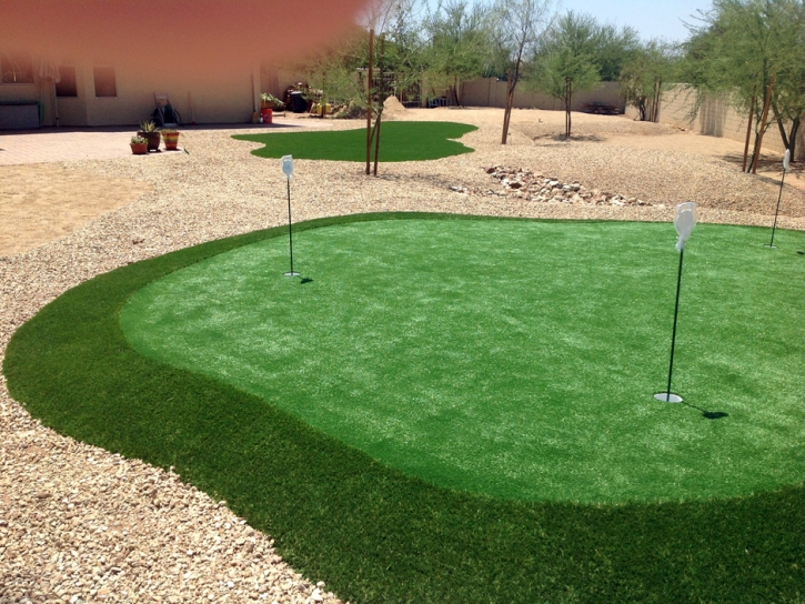 Lawn Services Globe, Arizona Putting Green Grass, Backyard Landscape Ideas