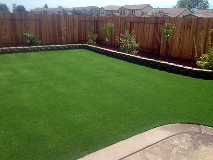 Lawn Services Sahuarita, Arizona Rooftop, Backyard Landscaping Ideas