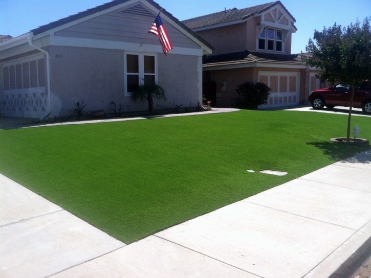 Outdoor Carpet Bouse, Arizona City Landscape, Front Yard Ideas