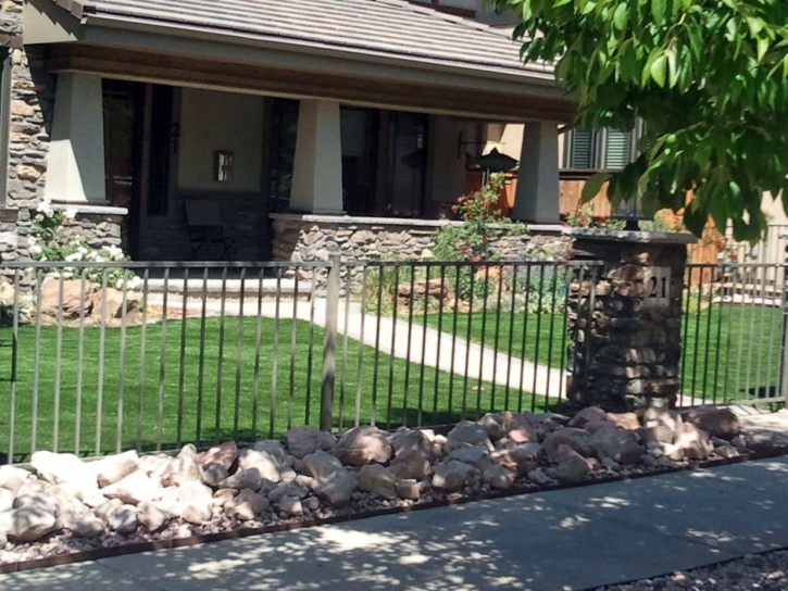 Outdoor Carpet Catalina Foothills, Arizona Home And Garden, Front Yard Design