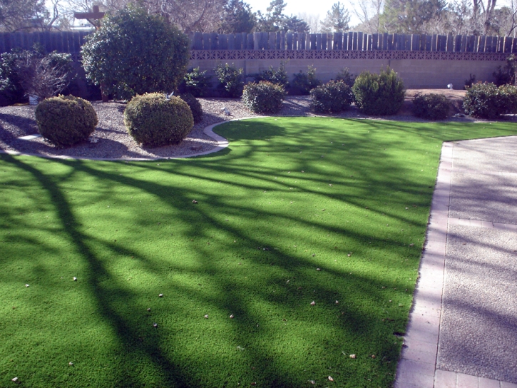 Outdoor Carpet Cienega Springs, Arizona Landscape Ideas, Front Yard Landscape Ideas