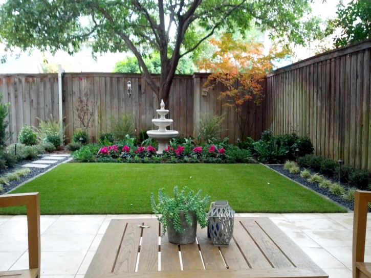 Outdoor Carpet Tonopah, Arizona Landscape Ideas, Backyard Design