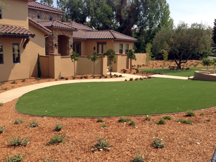 Outdoor Carpet Vicksburg, Arizona Roof Top, Front Yard Design