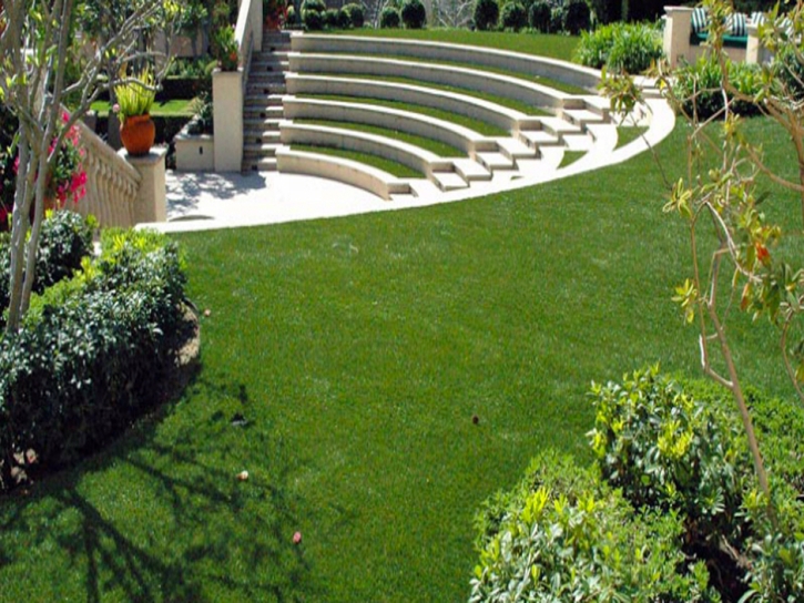 Outdoor Carpet Winslow, Arizona Lawn And Landscape