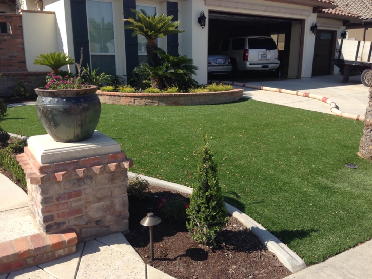 Outdoor Carpet Young, Arizona Lawns, Front Yard Ideas