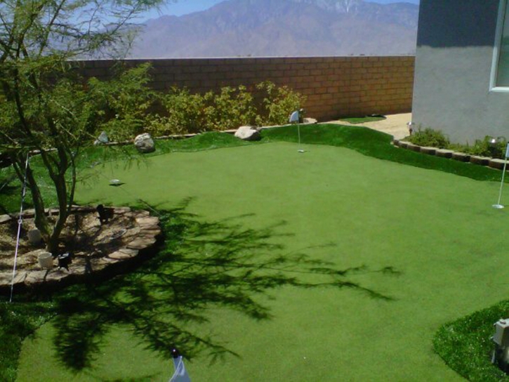 Plastic Grass Arizona Village, Arizona Landscaping, Backyard Design