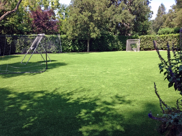 Plastic Grass Clay Springs, Arizona Sports Athority, Backyard Landscape Ideas