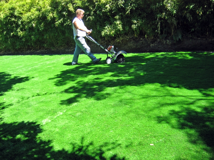 Plastic Grass Comobabi, Arizona Paver Patio, Backyard Ideas