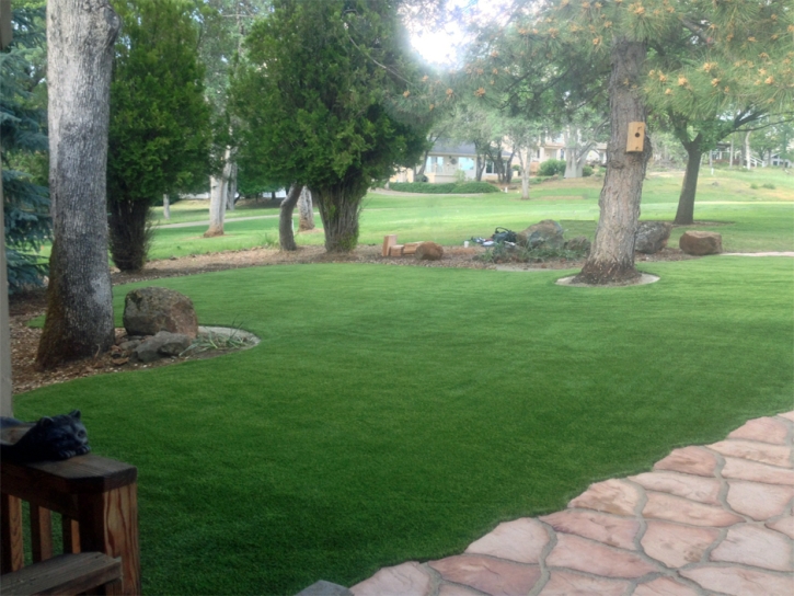 Plastic Grass Linden, Arizona Landscape Photos, Front Yard Ideas