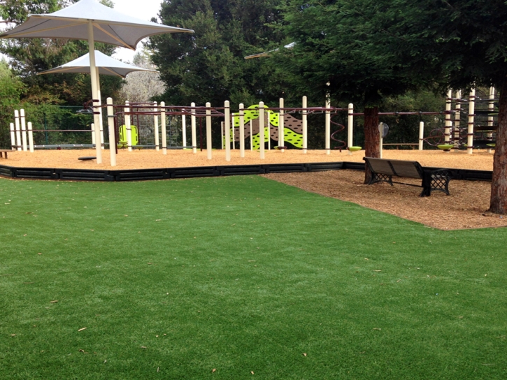 Plastic Grass Mesa, Arizona Playground Safety, Backyard Design