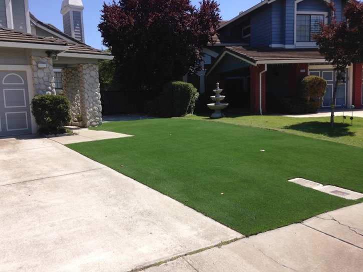 Plastic Grass Munds Park, Arizona Rooftop, Front Yard Ideas