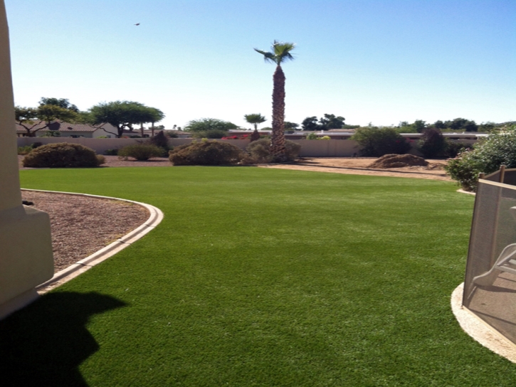 Plastic Grass Oxbow Estates, Arizona Lawn And Landscape, Small Backyard Ideas