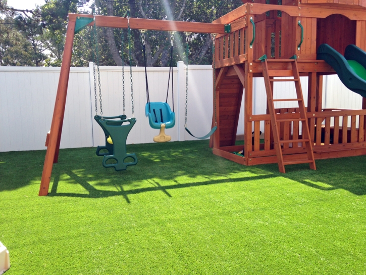 Plastic Grass Palominas, Arizona Playground Safety, Backyards