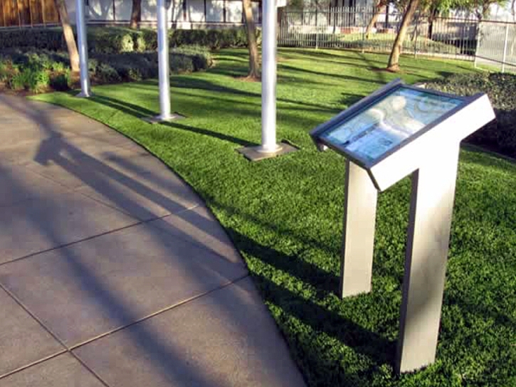 Plastic Grass Poston, Arizona Lawn And Garden, Recreational Areas