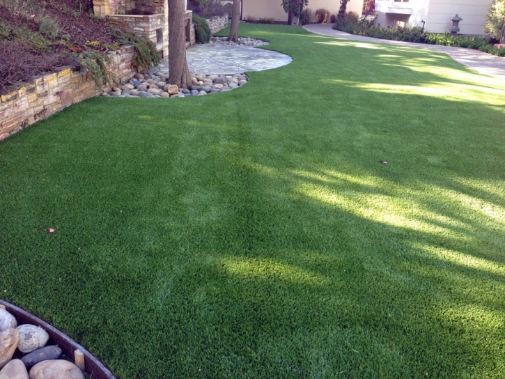 Plastic Grass Tucson, Arizona City Landscape, Backyard Garden Ideas