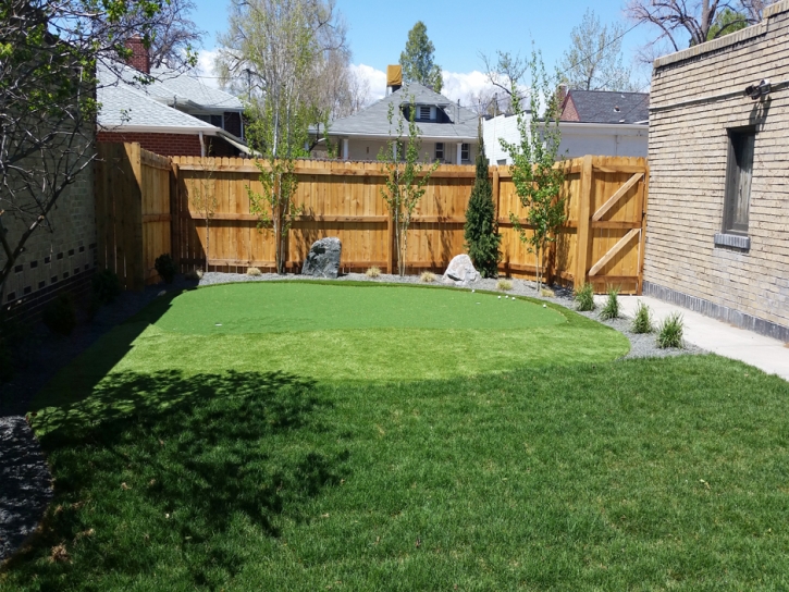 Plastic Grass Washington Park, Arizona Landscape Rock, Backyard Landscape Ideas