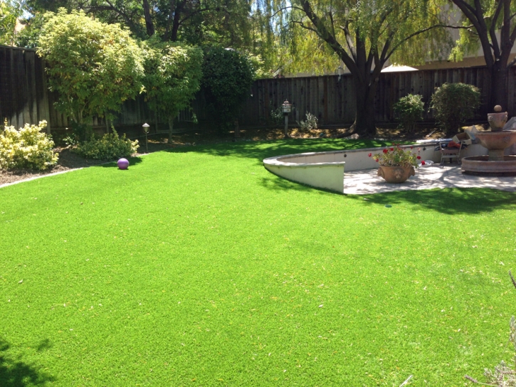 Plastic Grass Whispering Pines, Arizona Roof Top, Backyard Landscaping