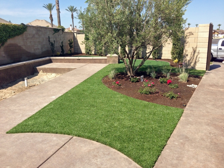 Synthetic Grass Charco, Arizona Lawn And Garden, Front Yard