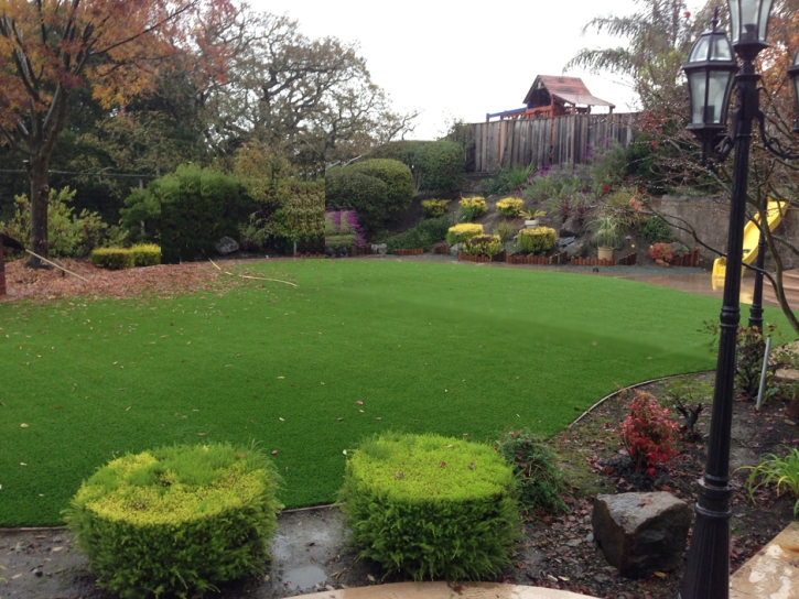 Synthetic Grass Cost Ali Chukson, Arizona Lawns, Backyard Landscaping Ideas