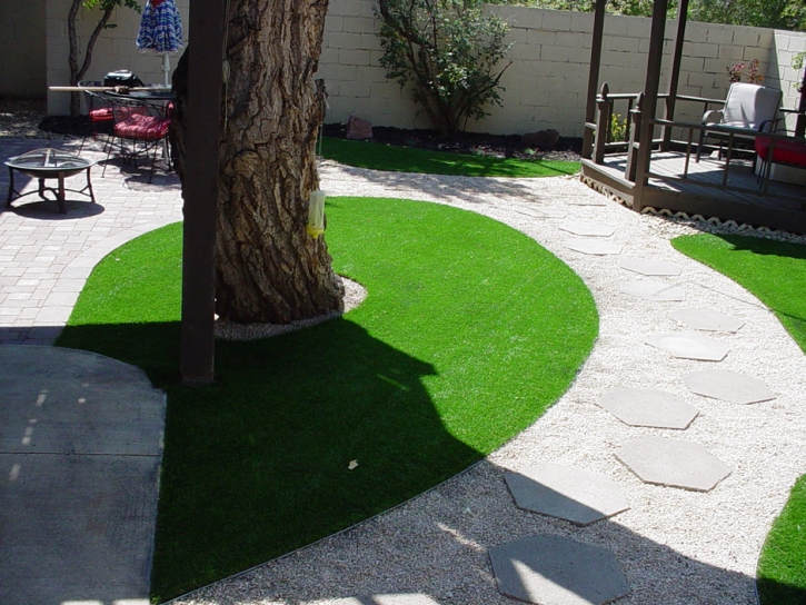 Synthetic Grass Cost Bluewater, Arizona Lawns, Backyard Landscaping