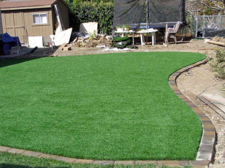 Synthetic Grass Cost Grand Canyon Village, Arizona Gardeners, Backyard