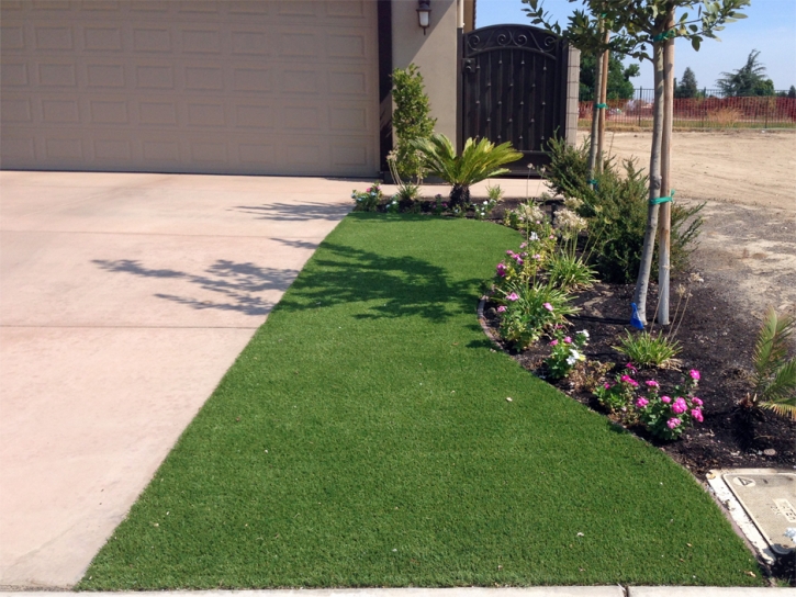 Synthetic Grass Cost Nutrioso, Arizona Lawns, Front Yard Landscaping