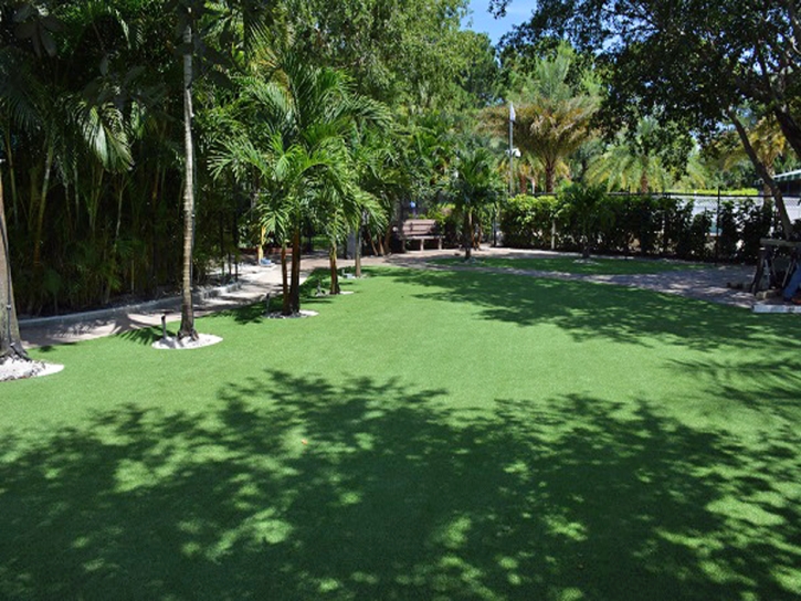 Synthetic Grass Cost Oro Valley, Arizona Lawns, Commercial Landscape