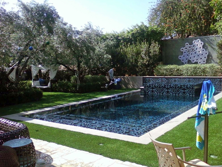 Synthetic Grass Cost Stanfield, Arizona Backyard Deck Ideas, Natural Swimming Pools