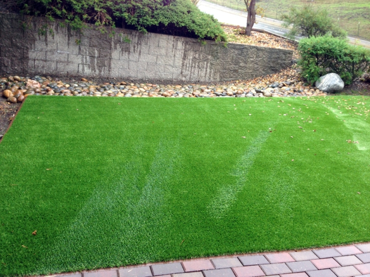 Synthetic Grass Cost Three Points, Arizona Dog Grass, Backyard Designs