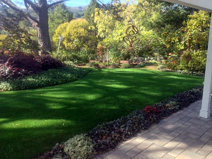 Synthetic Grass Cost Wikieup, Arizona Landscaping, Backyard Landscaping