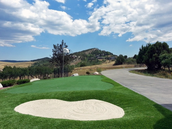 Synthetic Grass Fort Thomas, Arizona Golf Green, Landscaping Ideas For Front Yard