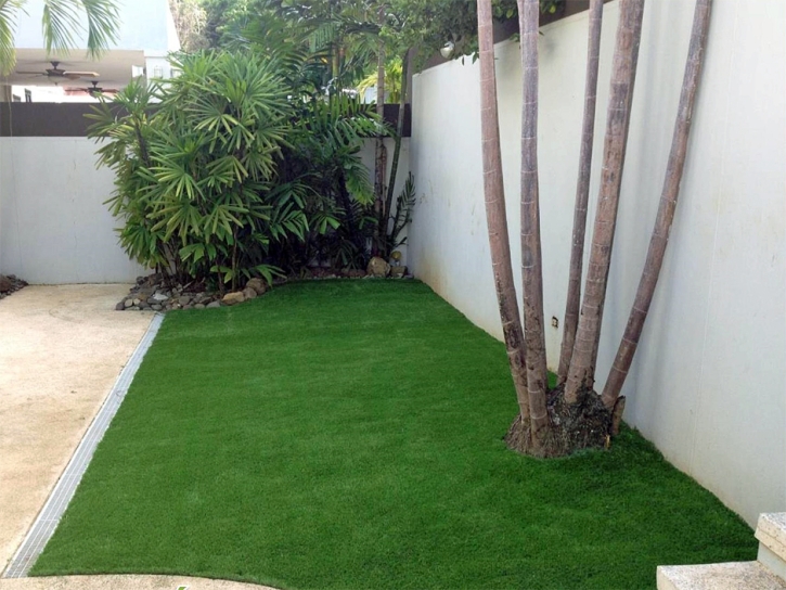 Synthetic Grass Peeples Valley, Arizona Landscape Photos, Backyard Ideas