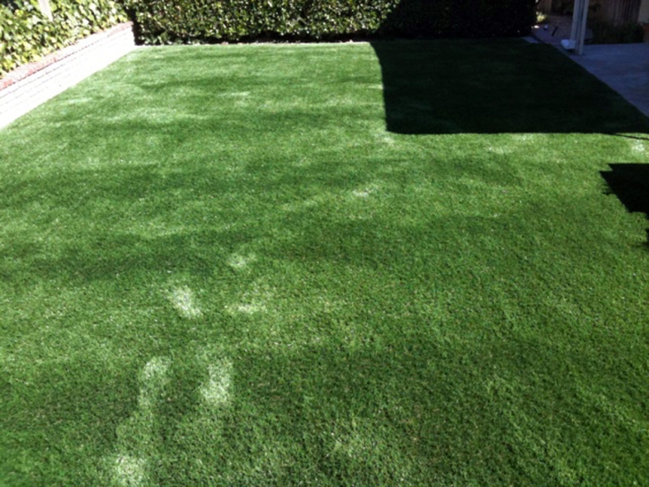 Synthetic Grass Summerhaven, Arizona Dog Parks, Backyard Landscaping Ideas