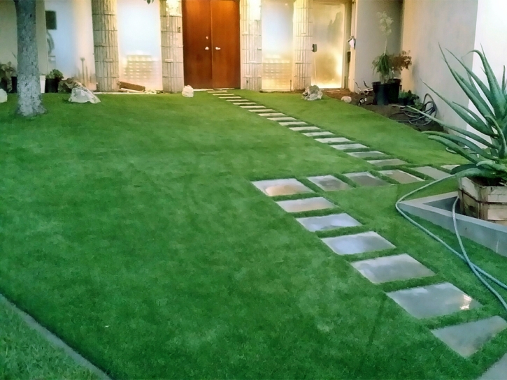 Synthetic Grass Tonto Basin, Arizona Backyard Playground, Front Yard Landscaping